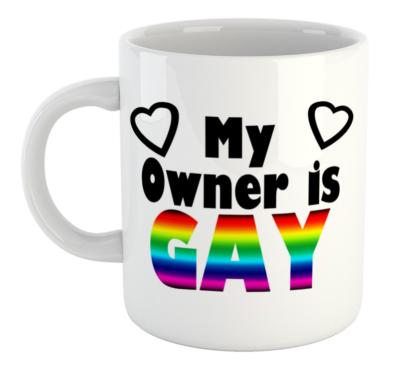 My Owner Is Gay Mug