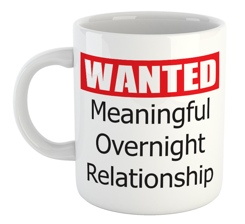 Wanted. Meaningful Overnight Relationship Mug